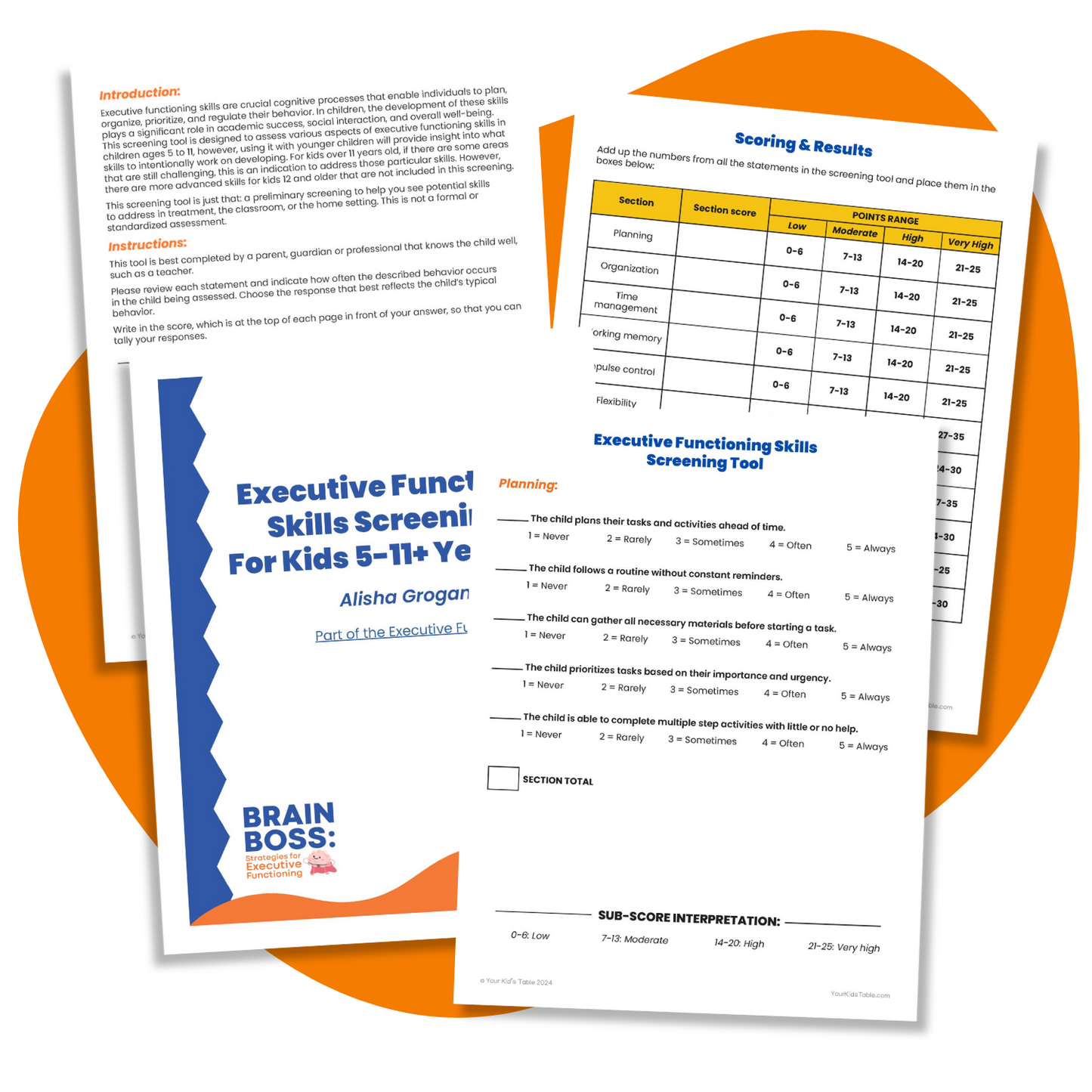 Executive Functioning Screening Tool